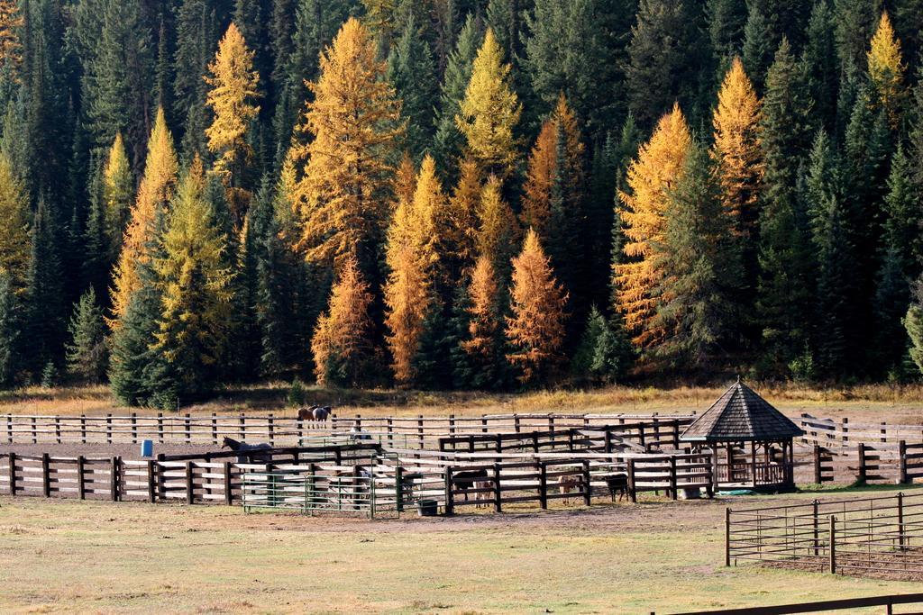 Вилла Bar W Guest Ranch Уайтфиш Экстерьер фото